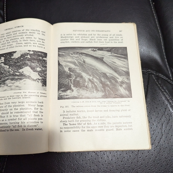 Vintage mid century General Science Grade 10 School book. Fair Condition  . - Picture 13 of 15